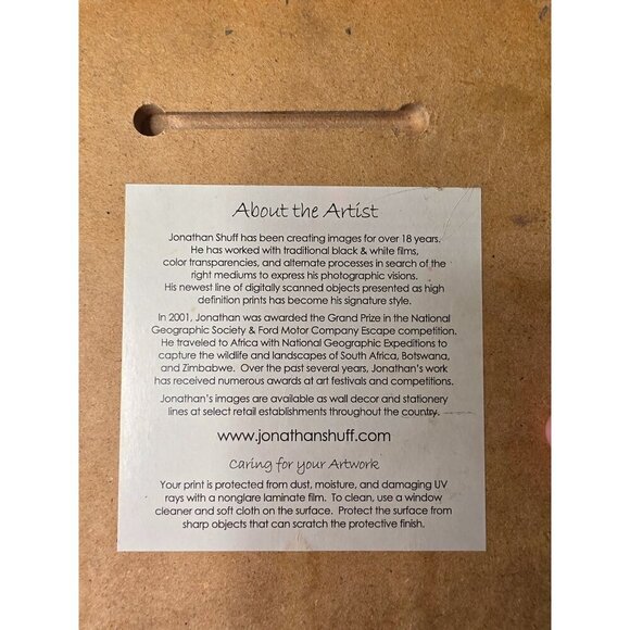 Shell Printed Picture- Jonathan Shuff Photography. Print On Wood 8 x 8 - Picture 6 of 11